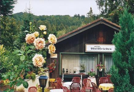 Ferienhotel Waldfrieden Bad Sachsa Exterior photo